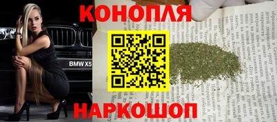 гидропоника Гусев