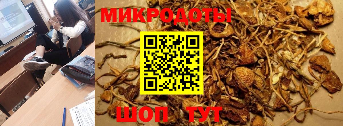 Галлюциногенные грибы Psilocybe  Вход с VPN  Нефтекамск  Галлюциногенные грибы GOLDEN TEACHER 